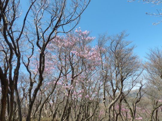 画像29